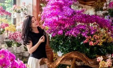 Người phụ nữ gây sốt với “phòng khách hoa lan” hơn 1.000 chậu: Không gian ngập sắc hoa khiến ai nhìn cũng muốn ngắm mãi