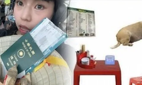 Du khách quốc tế truyền tai nhau mẹo ăn ngon ở Việt Nam: Bàn nhựa, ghế đỏ và chó béo