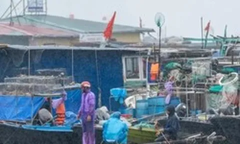 Ngư dân dầm mưa, chạy đua giữ tàu trước giờ bão số 1 đổ bộ