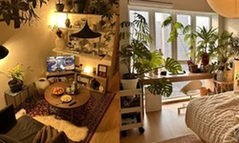 Chi 367 triệu, mất 68 ngày biến căn nhà ống thành vườn cây: Chàng trai độc thân nói ở nhà vui hơn đi chơi