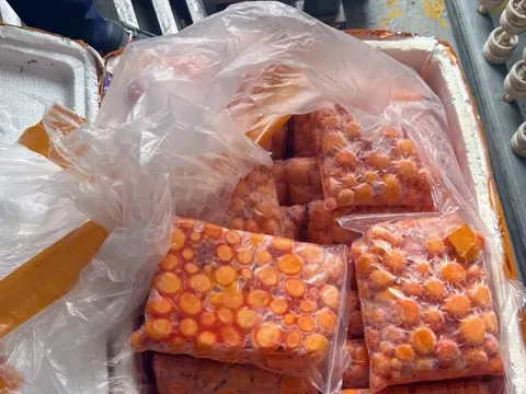 Hà Nội: Thu giữ hơn 12 tấn sụn gà, trứng non nghi nhập lậu