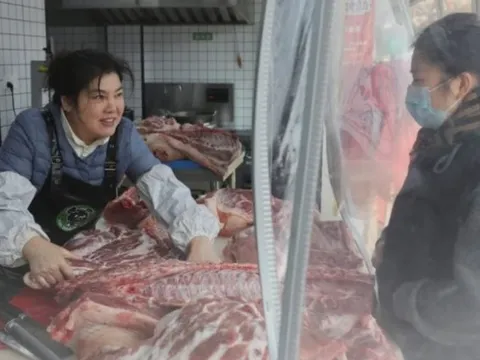 Trung Quốc đổ xô nuôi 1 giống lợn được ví “Wagyu của thịt lợn”: Giá cao gấp 3-4 lần lợn trắng, nhu cầu đang ngày càng tăng vọt