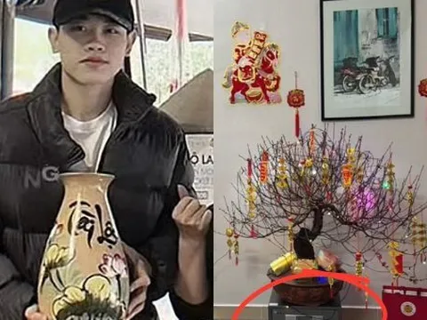 Không ai như Đình Bắc: Mang két sắt làm giá đỡ chậu hoa đào, mặc đồ kín bưng mua bình cắm hoa Tết cũng viral