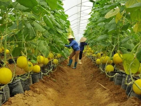 Khởi động hành trình 'người trẻ kể chuyện văn hoá Việt Nam'