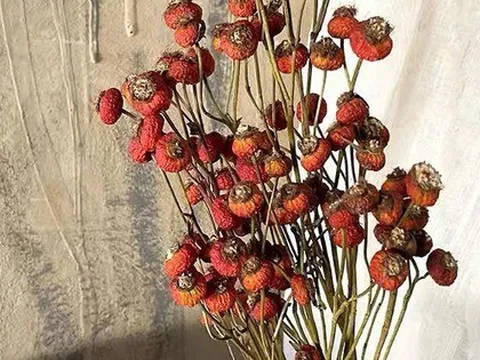 Tháng Giêng giữ 4 thứ này trong nhà: Xui xẻo đủ đường, tài lộc công danh bị chặn đứng