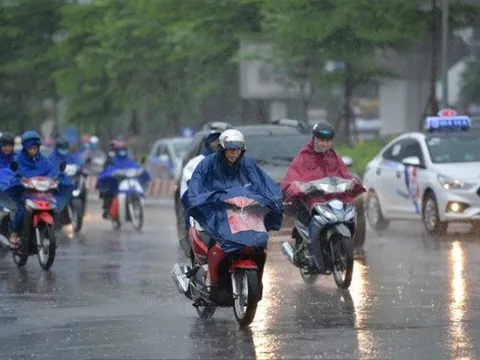 Tin gió mùa Đông Bắc mới nhất: Ngày mai, nhiều tỉnh có mưa vừa, mưa to