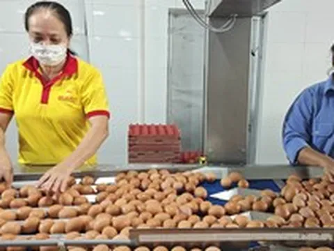 Từ vụ trứng Ba Huân nợ bảo hiểm xã hội kéo dài: Thấy gì từ những "thương hiệu quốc dân"?