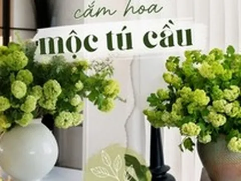 Loài hoa được vua Càn Long ví như "ngọc bàn đọng tuyết" đang trở thành xu hướng cắm hoa hot nhất mùa này: Khó chăm nhưng đáng từng đồng