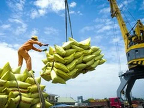 Giá gạo xuất khẩu tăng