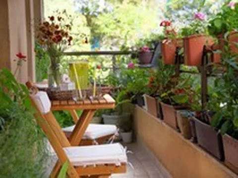 5 điều nhất định phải tránh khi trồng cây ở ban công