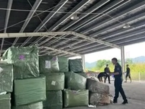 Bắt giữ 4 container hàng giả thương hiệu Louis Vuitton, Rolex, Chanel