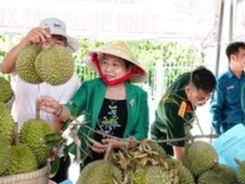 Nói thẳng lý do giá sầu riêng vừa chạm đỉnh đã rơi xuống đáy