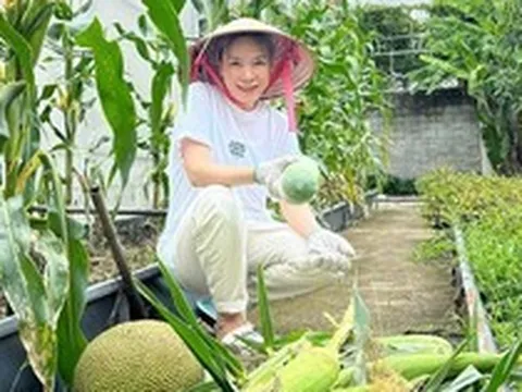 Vườn nhà nghìn mét vuông của Mỹ Tâm