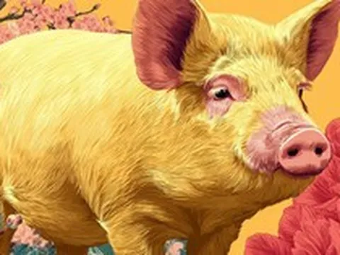 3 con giáp nhận tin vui trong ngày thứ Bảy, 26/9/2026