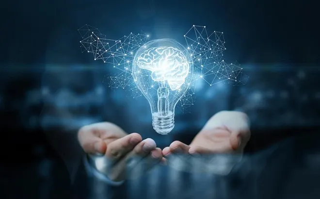 Triển khai thi hành Luật sửa đổi, bổ sung một số điều của Luật Sở hữu trí tuệ