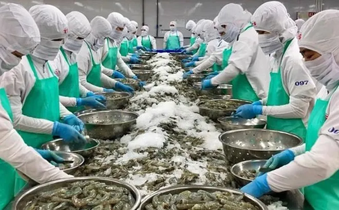 Doanh nghiệp xuất khẩu thủy sản ứng phó với căng thẳng tại Trung Đông