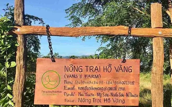 “Nông trại Hồ Vàng” của ông Thích Nhuận Đạt?