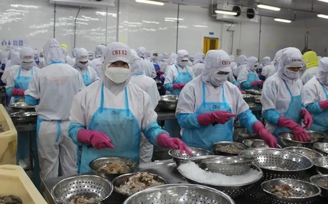 Xuất khẩu nông, lâm, thủy sản có thể giảm hàng tỉ USD vì xung đột ở Trung Đông