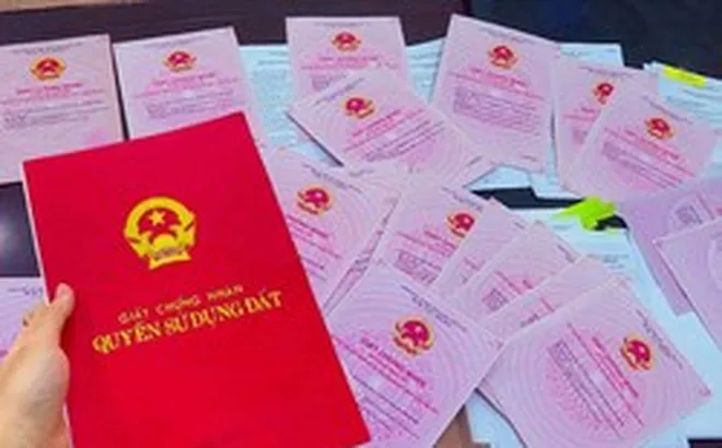 Lừa làm sổ đỏ, chiếm đoạt tiền của người dân