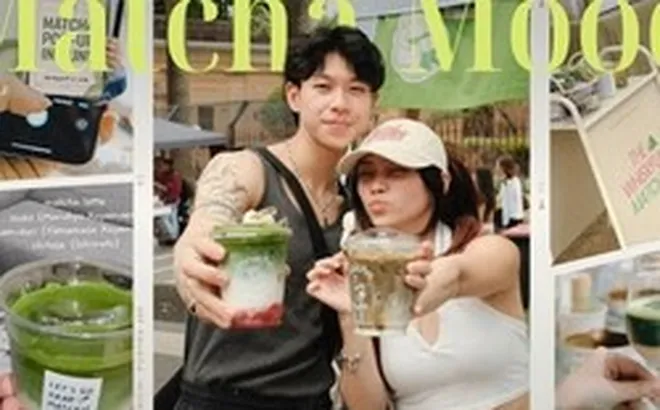 Matcha không chỉ để uống: Đây là cách một thú chơi đang trở thành cơ hội làm giàu