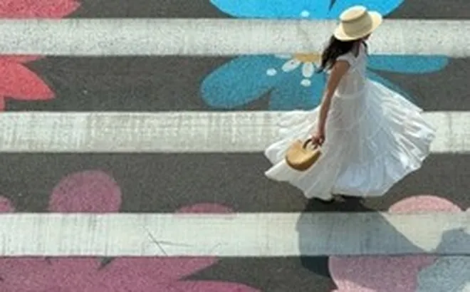 Vạch kẻ đường ở Thượng Hải bỗng nở hoa