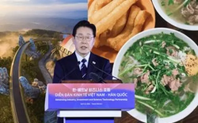 Tổng thống Hàn Quốc: “Phở đã trở thành món quốc dân của cả hai nước, người Hàn rất yêu thích Đà Nẵng”