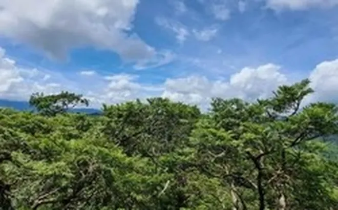 Phong Nha - Kẻ Bàng được công nhận là Khu Dự trữ sinh quyển thế giới
