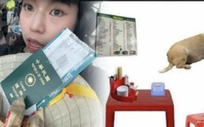 Du khách quốc tế truyền tai nhau mẹo ăn ngon ở Việt Nam: Bàn nhựa, ghế đỏ và chó béo