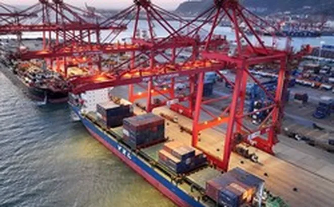 Một mặt hàng của Việt Nam vừa thu về hơn nửa tỷ USD - Nga, Mỹ báo tin vui