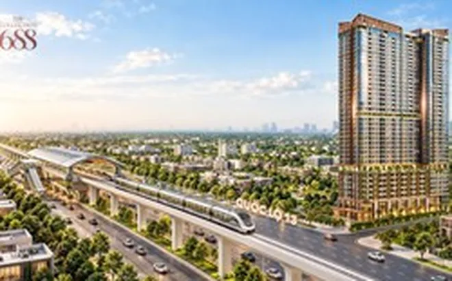 Nghệ thuật của sự “vừa đủ” trong một sản phẩm thiết thực tại Đông Bắc TP.HCM