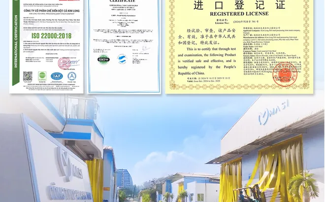 MASI tăng cường nội lực xuất khẩu quốc tế